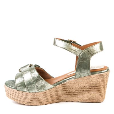 DAPHNEE VERT 6.5 cm