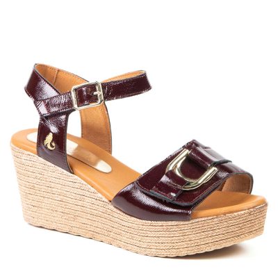 DAPHNEE BOURGOGNE 6.5 cm