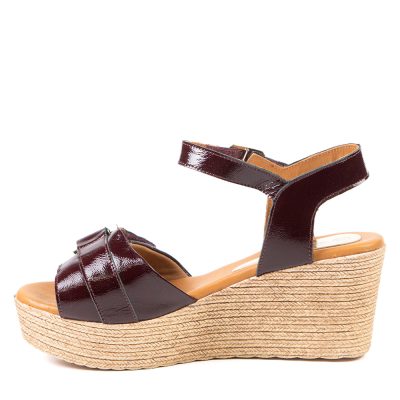 DAPHNEE BOURGOGNE 6.5 cm