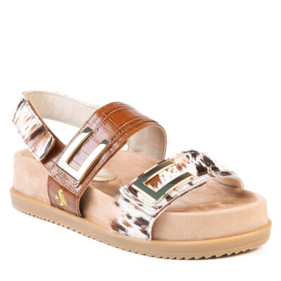 MARJORY BRUN MULTI