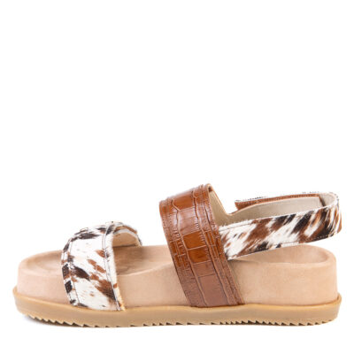 MARJORY BRUN MULTI